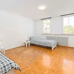 Raumschmide 1-2 Apartment Göppingen